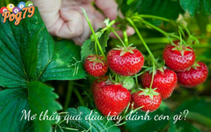 Mơ Thấy Quả Dâu Tây Đánh Con Gì?
