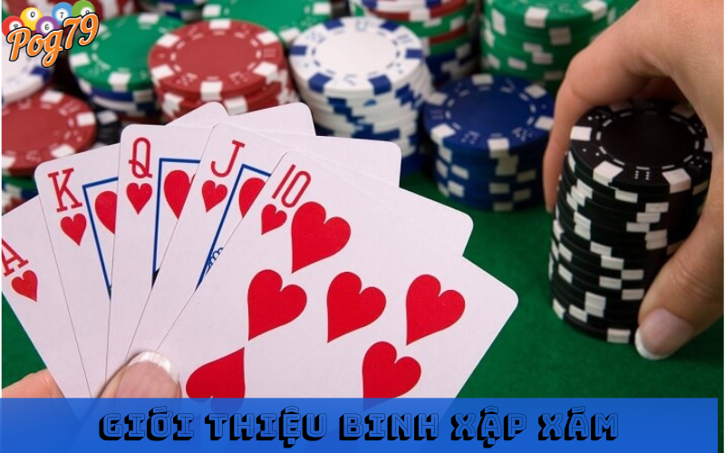 Binh xập xám là gì?