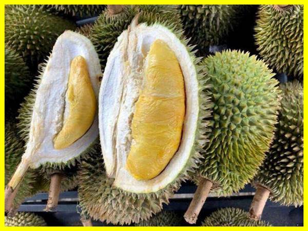 Mơ Thấy Quả Sầu Riêng Có Ý Nghĩa Gì?
