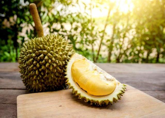 Sầu Riêng – Biểu Tượng Của Giấc Mơ