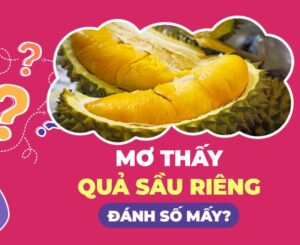 Mơ Thấy Quả Sầu Riêng Có Ý Nghĩa Gì?