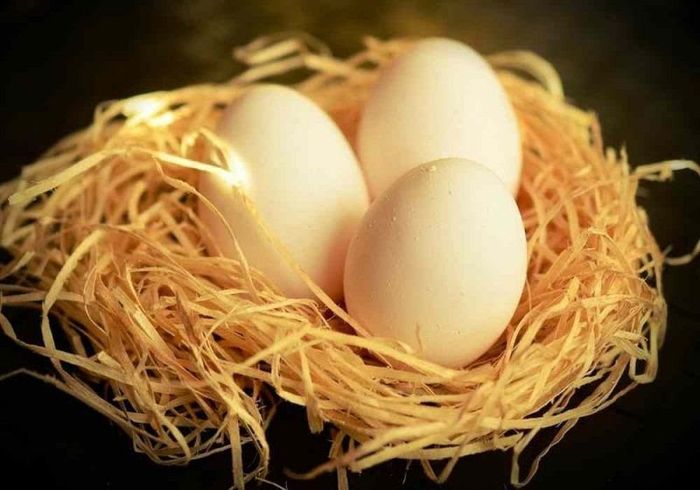 Ý Nghĩa Của Giấc Mơ Thấy Trứng Gà